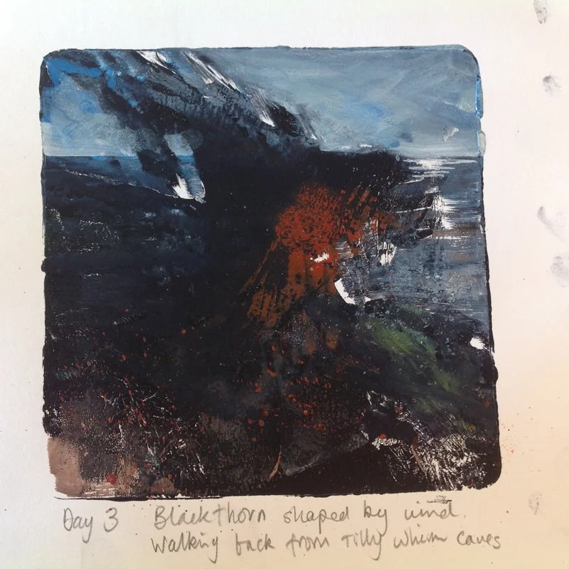 Outline South West — Anita Reynolds